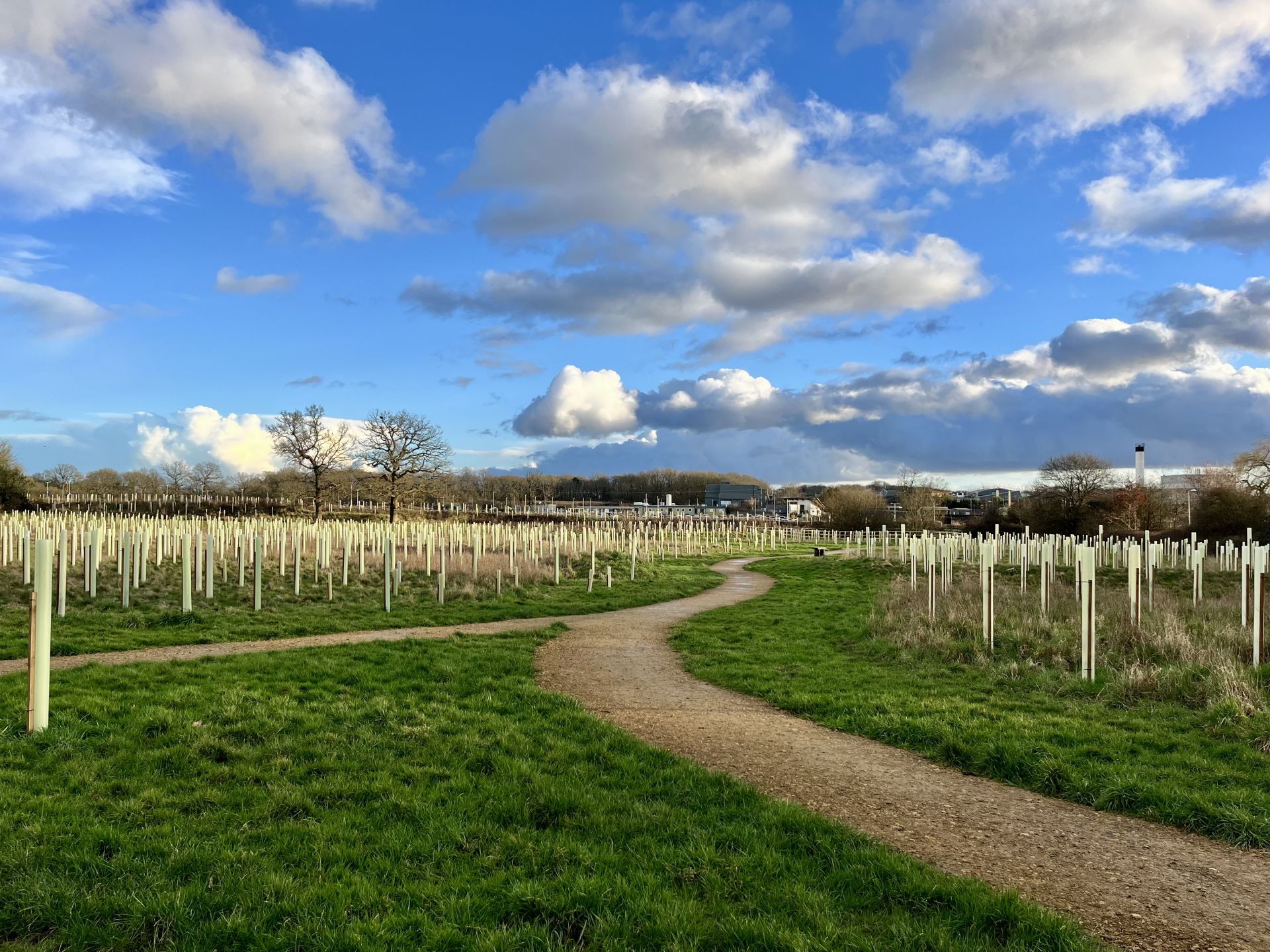 The countryside path behind East Surrey Hospital